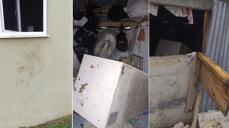 Rize Çamlıhemşin’de ayı paniği: 20 eve girdi, yayla sakinleri canından bezdi